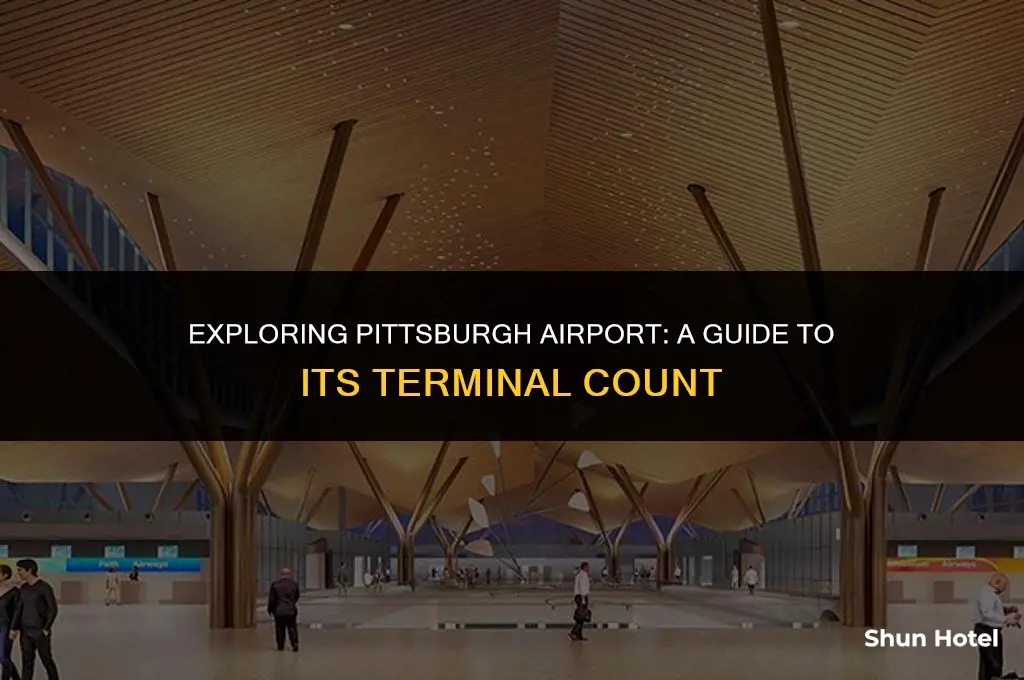 how many terminals is the pitt airport