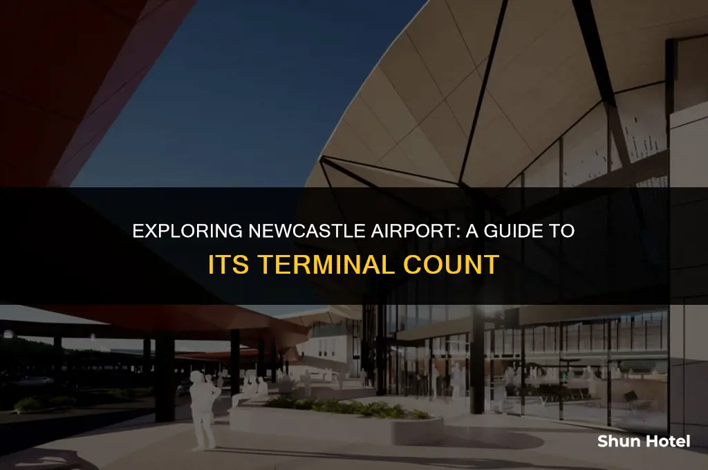 how many terminals newcastle airport