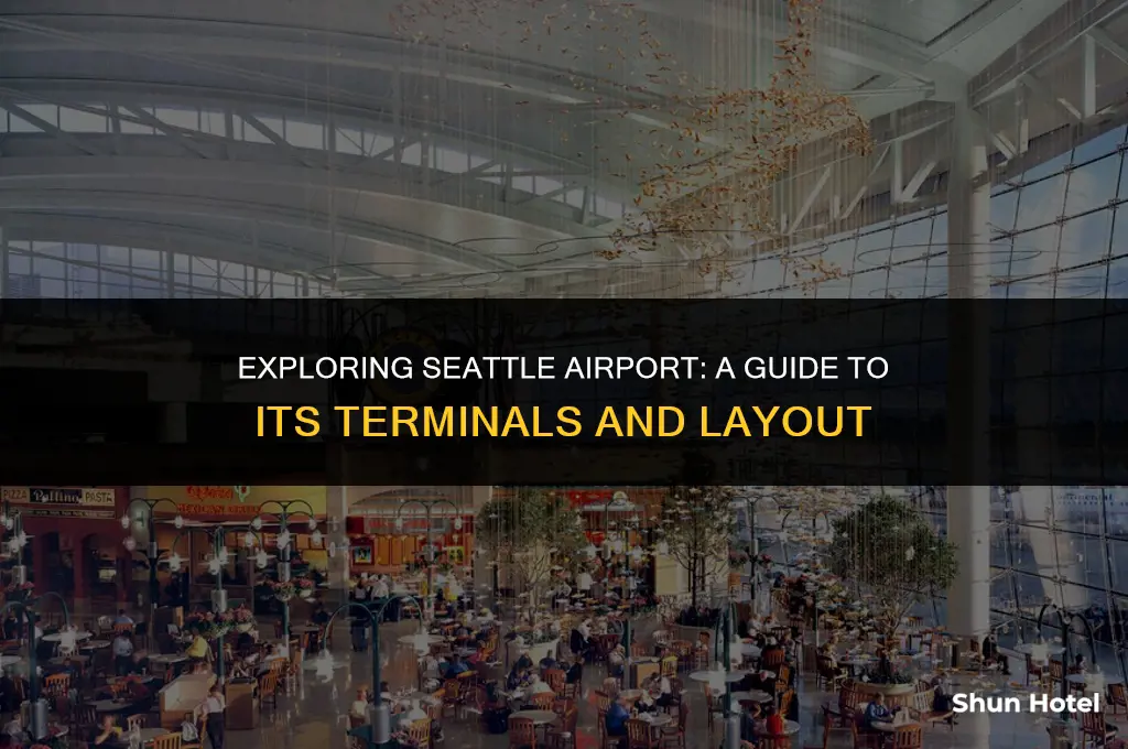 how many terminals seattle airport