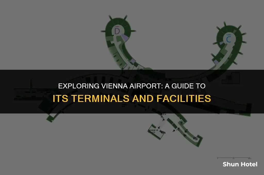 how many terminals vienna airport