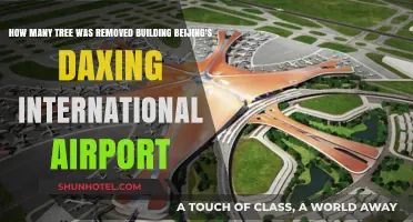Beijing's Daxing Airport Construction: The Environmental Cost of Tree Removal