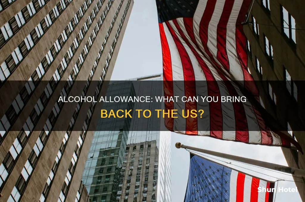 how much alcohol can you bring back airport us