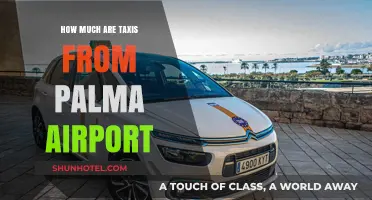 Palma Airport Taxi Fares: Your Complete Guide to Costs and Options