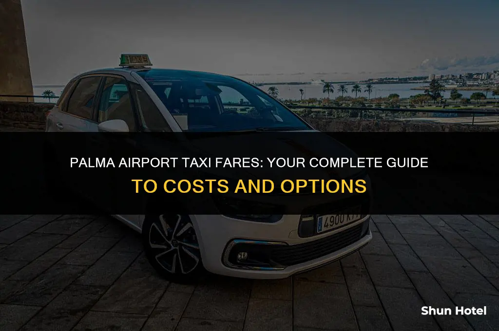 how much are taxis from palma airport