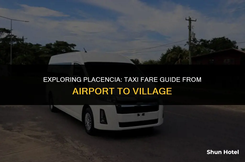 how much are the cab from plancencia airport to placencia
