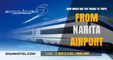 Exploring Tokyo: Train Travel Options from Narita Airport