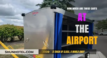 Navigating Airport Convenience: The Cost of Those Handy Carts