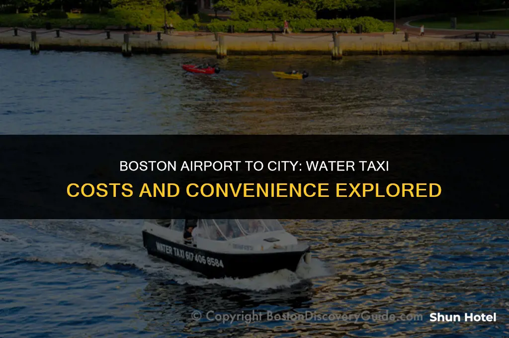 how much are water taxis from the airport boston