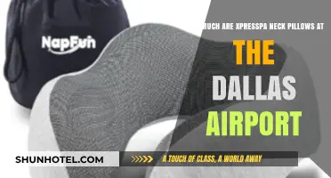 Discover the Price of Xpresspa Neck Pillows at Dallas Airport
