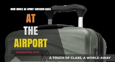 Airport Baggage Fees: How Much Does Spirit Airlines Charge?