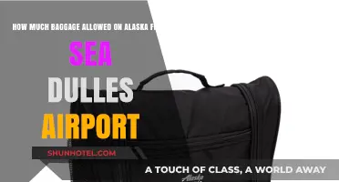 Flying from Dulles to Alaska: Baggage Allowance Essentials