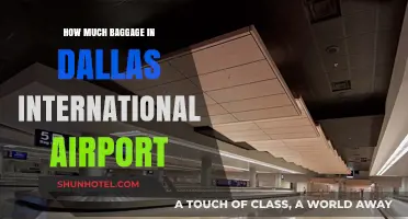 Dallas International Airport Baggage Allowance: What You Need to Know