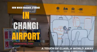 Exploring Baggage Storage Options at Changi Airport: A Comprehensive Guide