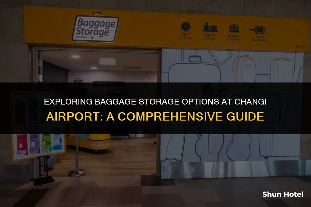 how much baggage storage in changi airport