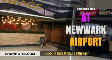 Sipping Above the Clouds: Newark Airport's Beer Selection Unveiled