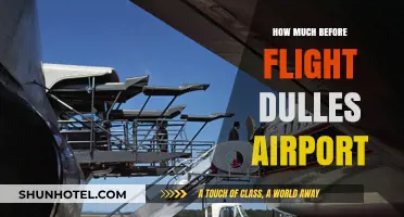 Pre-Flight Essentials: Timing Your Arrival at Dulles Airport