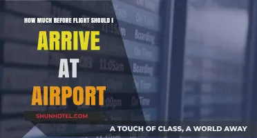 Airport Arrival Timing: How Early Should You Get There?