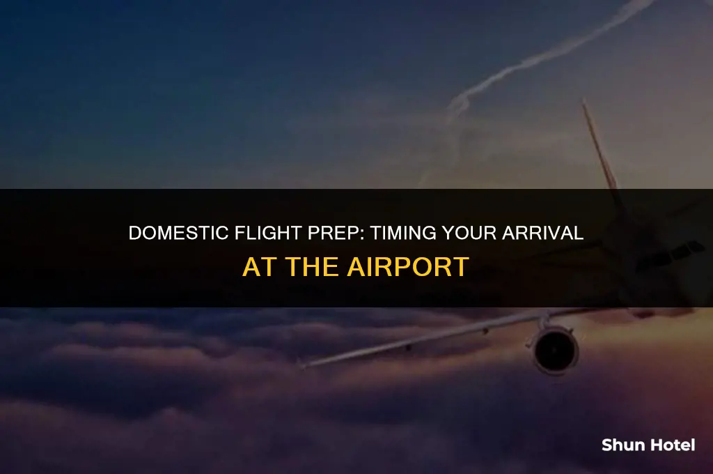 how much before to reach airport for domestic flight