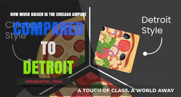 Comparing Chicago and Detroit Airports: A Size and Capacity Analysis