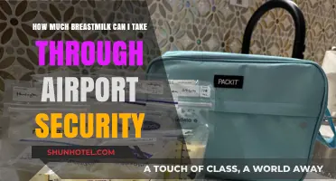 Breastfeeding Moms: Airport Security and Breast Milk