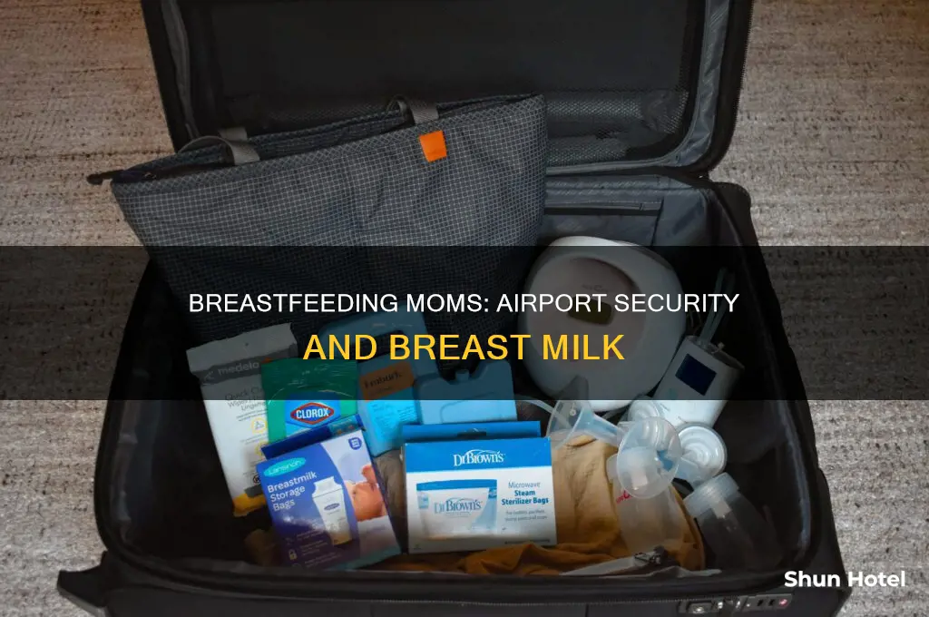 how much breastmilk can i take through airport security