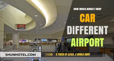 Airport Car Rental Budget Cuts: How Much Will You Save?