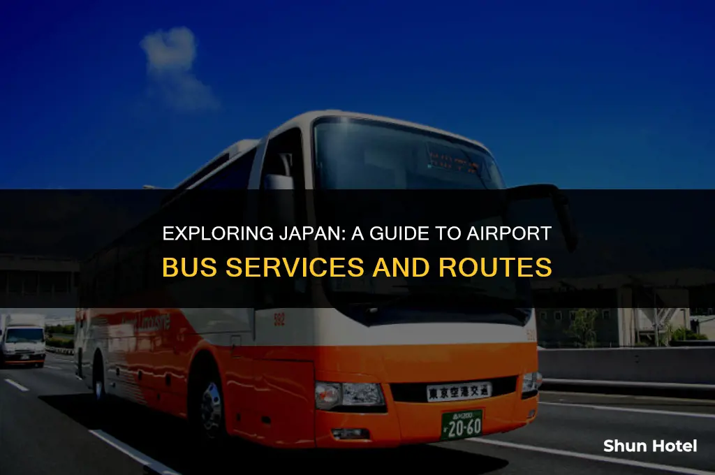 how much buses from airport in japan