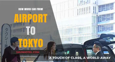 From Airport to Tokyo: Estimating Your Cab Fare