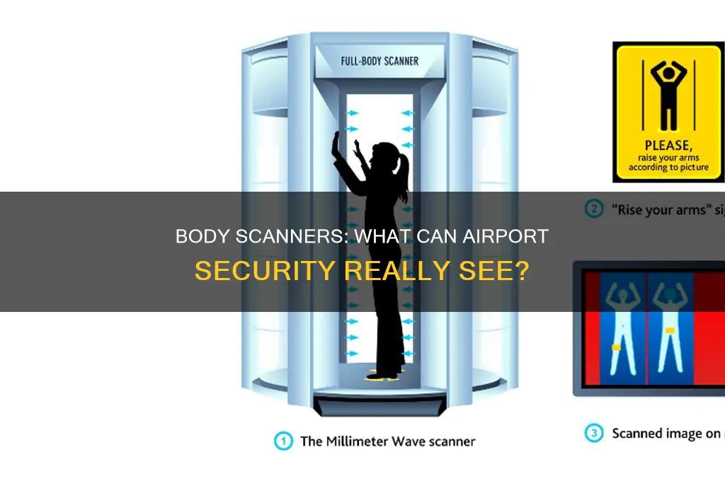 how much can airport body scanners see