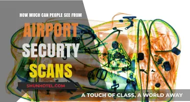 Airport Security Scans: How Much Can They See?