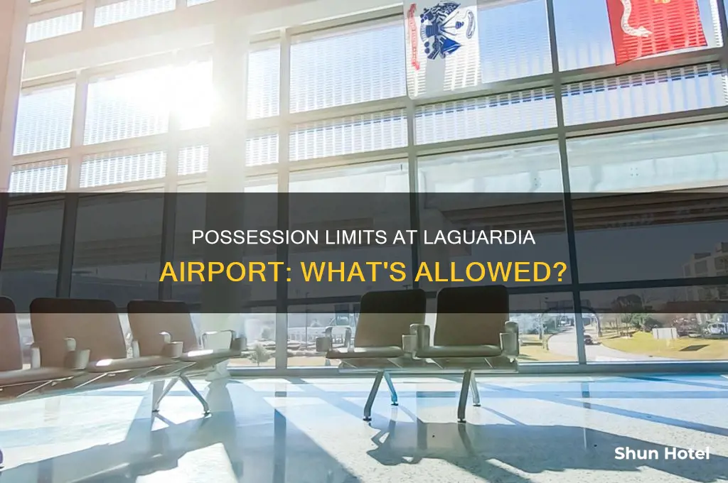how much can you possess in laguardia airport