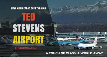 Anchorage's Ted Stevens Airport: A Hub for Cargo Transportation