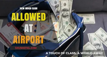 Traveling with Cash: Airport Allowances and Regulations Unveiled