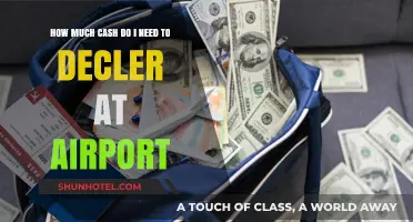 Declaring Cash at Airports: A Comprehensive Guide for Travelers