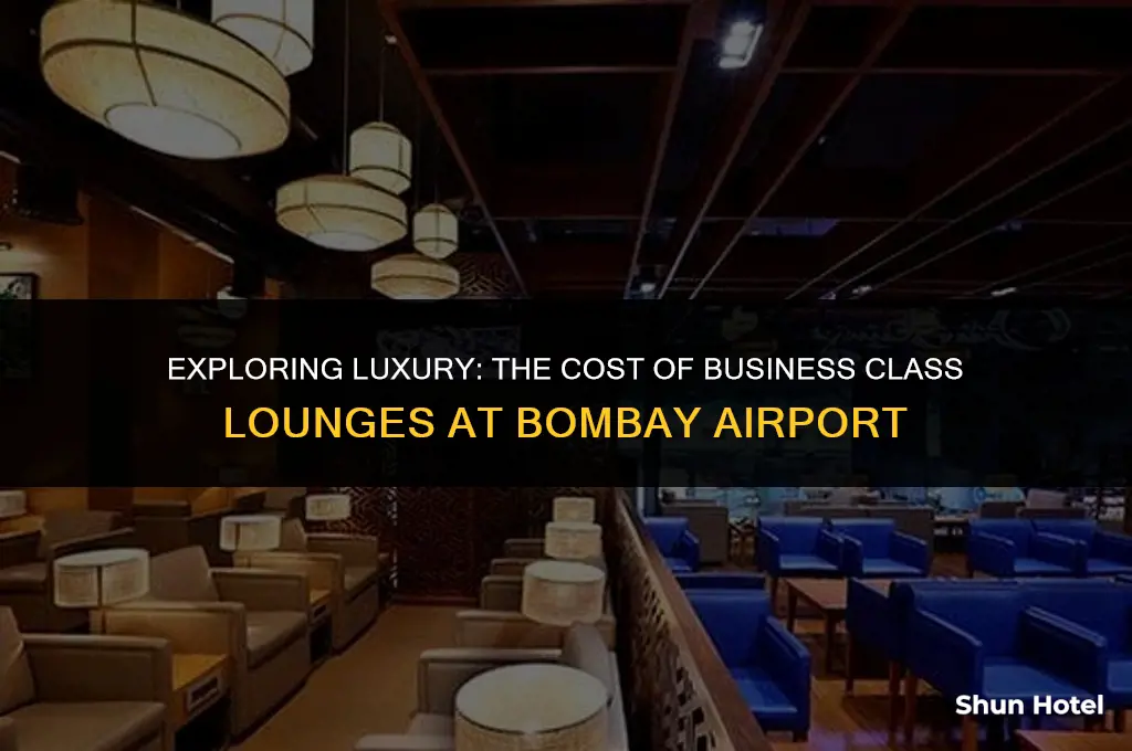 how much cost business class lounge in bombay airport