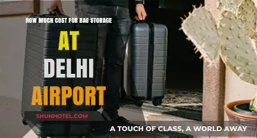 Delhi Airport Baggage Storage: Costs and Convenience Explained