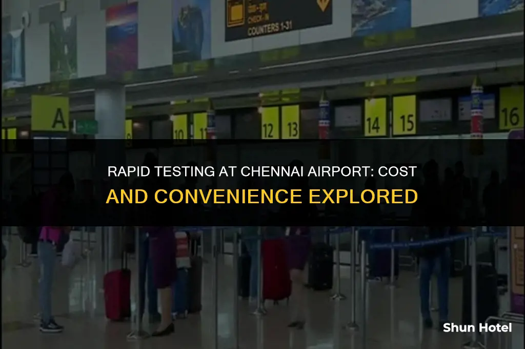 how much cost for rapid test in chennai airport