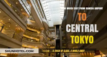 Traveling from Haneda Airport to Central Tokyo: Cost Breakdown