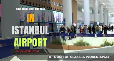 PCR Test Costs at Istanbul Airport: What You Need to Know