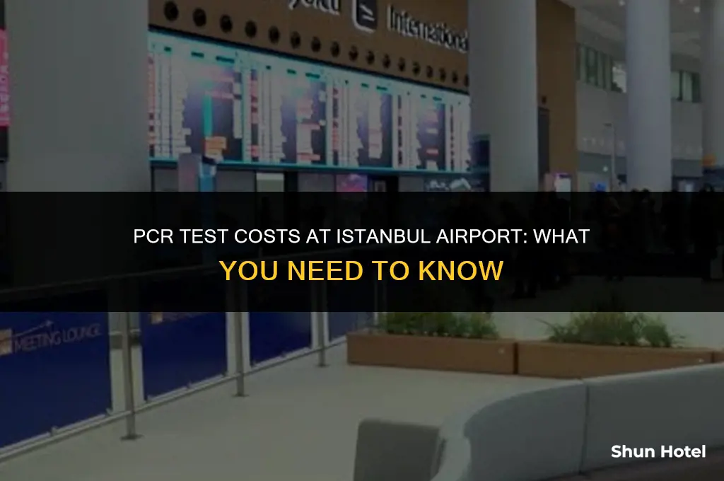 how much cost pcr test in istanbul airport