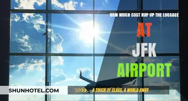 The Hidden Costs of Luggage at JFK Airport: What You Need to Know