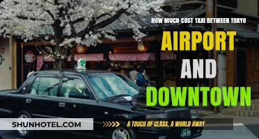 Tokyo Taxi Fare: Airport to Downtown Cost Guide