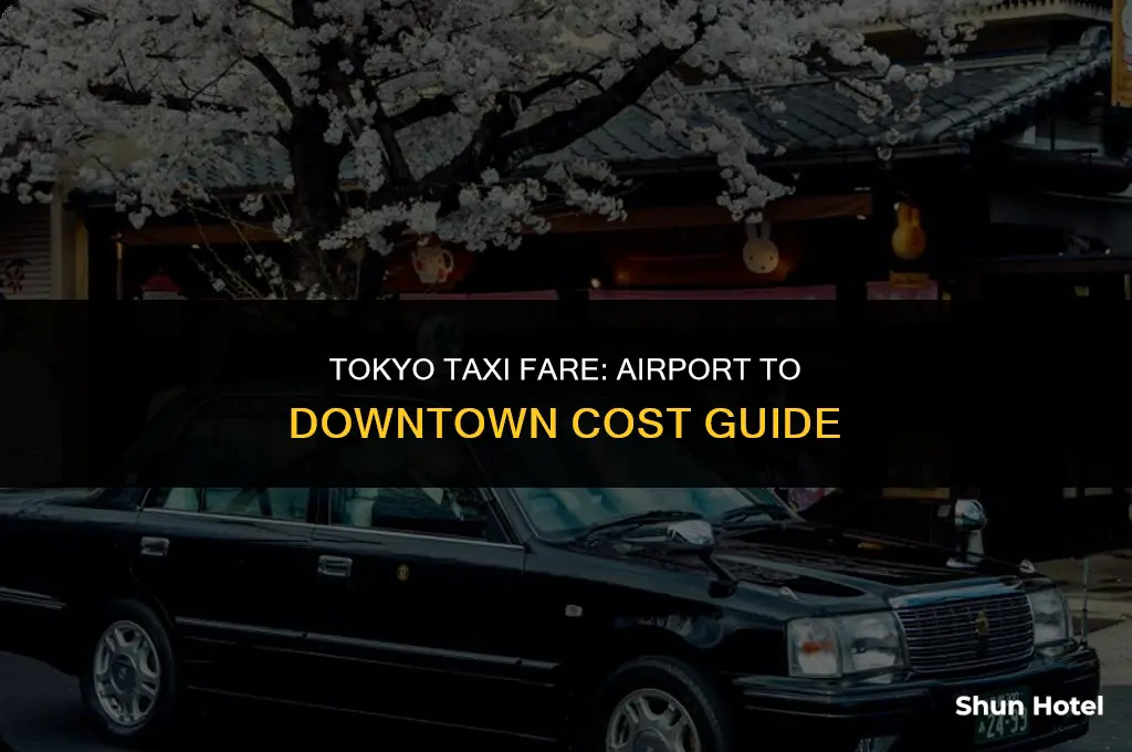 how much cost taxi between tokyo airport and downtown
