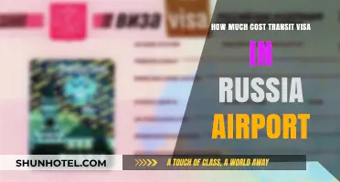 Exploring Russia: Understanding Transit Visa Costs at Airports