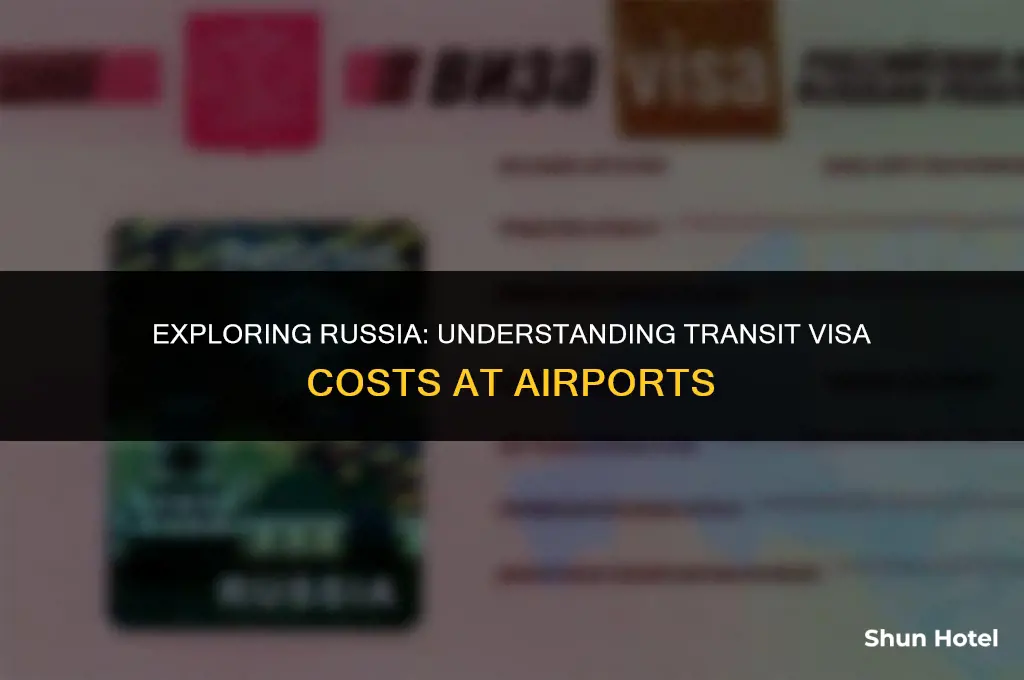 how much cost transit visa in russia airport