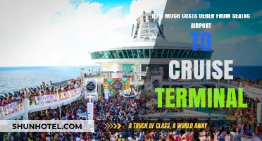 Seattle Airport to Cruise Terminal: Uber Fare Breakdown