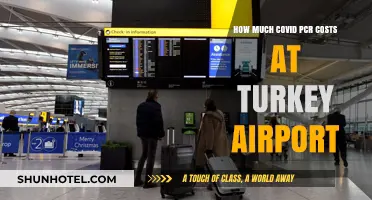 PCR Testing Costs at Turkey Airport: What Travelers Need to Know