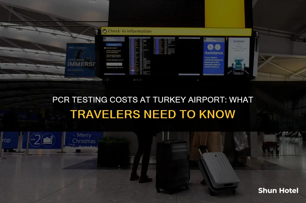 how much covid pcr costs at turkey airport