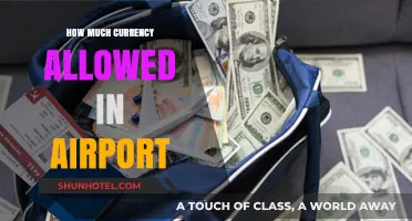 Traveling with Cash: Airport Currency Limits Explained