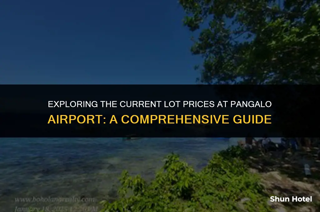 how much currently the price of lot in pangalo airport
